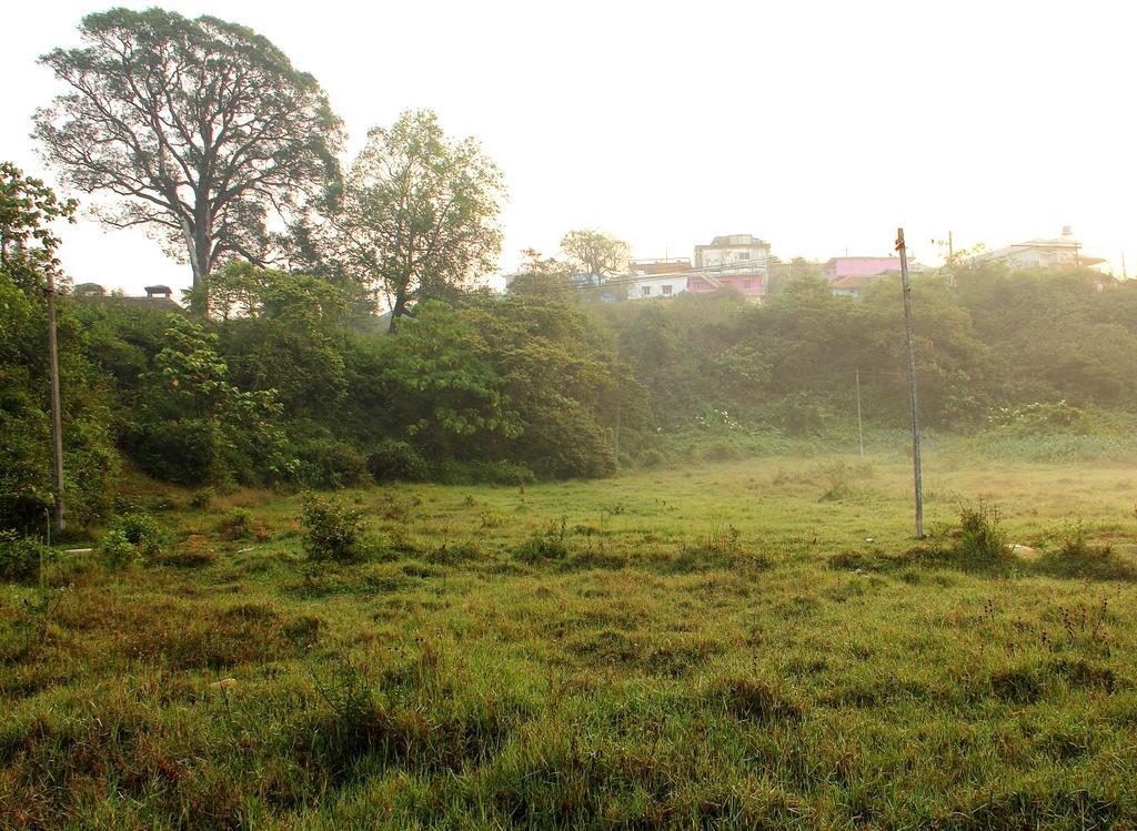 מדיקרי Coorg Rahul Villa מראה חיצוני תמונה